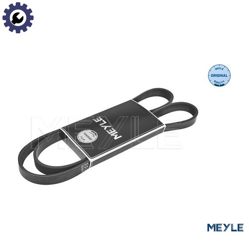 Vribbed belt 050 - 005, 1220