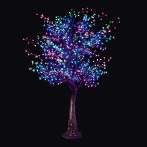Premier led cherry - premier,
