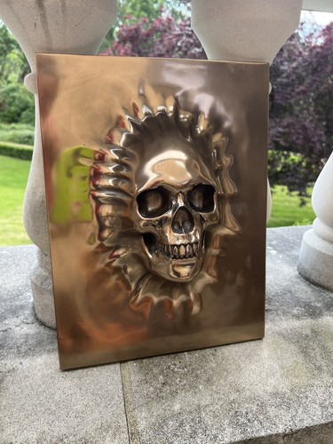 Wall mounted skull - mounted, very