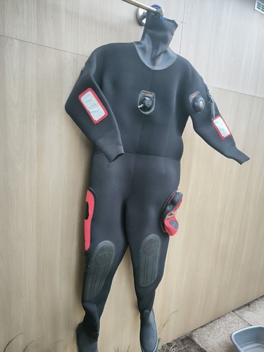 Northern diver origin 800 - diver,