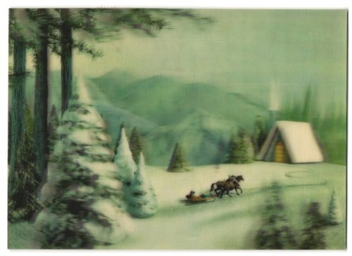 Horse drawn sleigh - horse-drawn,