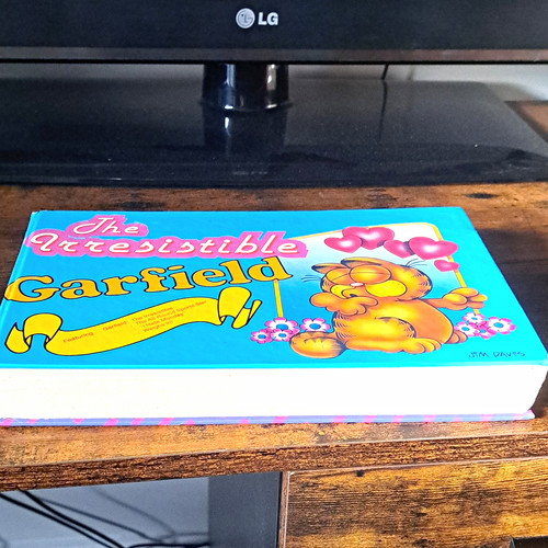 The irresistible garfield - the,