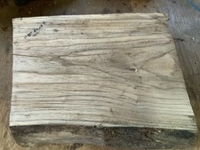 Spalted Elm Bowl Blank Wood