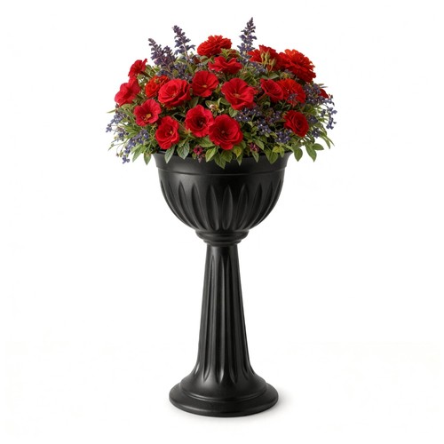 Black urn plant - plant, outdoor
