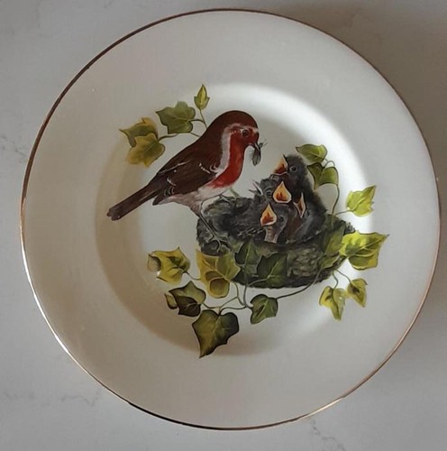 Staffordshire royale robin - staffordshire,