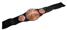 WWE Tag Team Champion Championship Wrestling Kids Replica Belt Mattel Toys 2014 