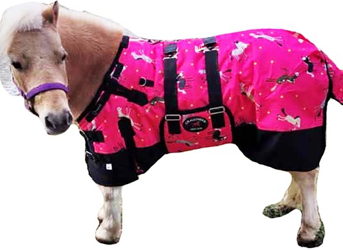 1200d miniature weanling pony - weanling,