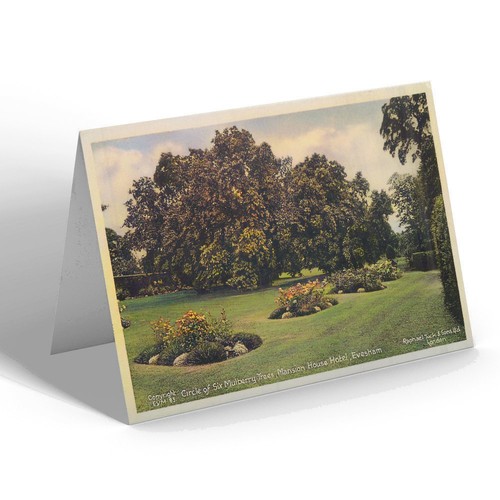 Notelet vintage - notelet,