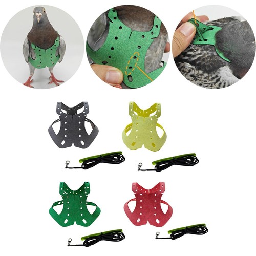Adjustable bird harness lead - harness,