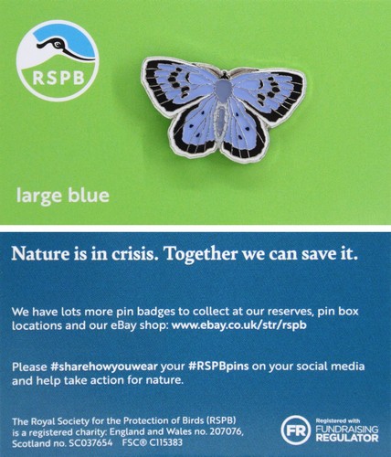 Rspb pin badge - large, blue