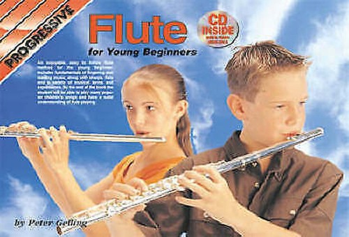 Flute beginner lessons - flute,