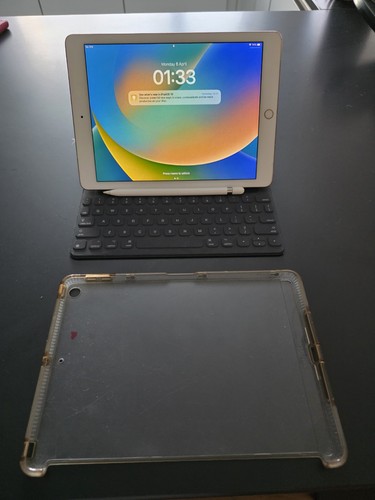 Ipad pro 256gb model - pro,