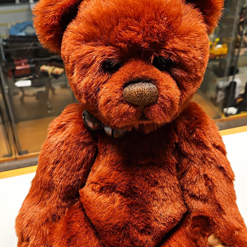 Charlie bears rusty tag - no,