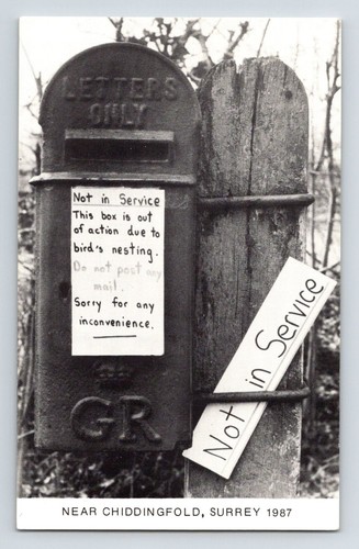 England chiddingfold surrey - england:,