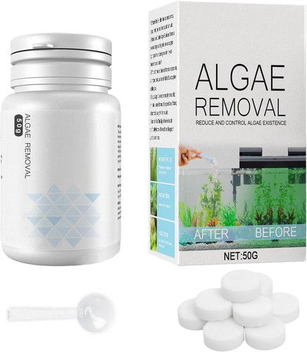Fish tank algae - fish,