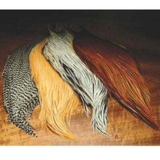 Metz Cock Cape Neck - Grade 2