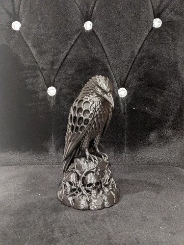 Gothic raven with skulls - raven,