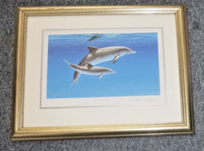 Stephen Gayford Limited Edition Signed Print Framed Dolphin 'Tranquillity' - VGC