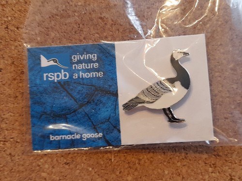 Rspb barnacle goose gnah - barnacle, blue