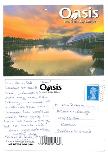 Postcard oasis forest - oasis,