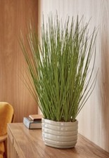 Next 66cm Artificial Green