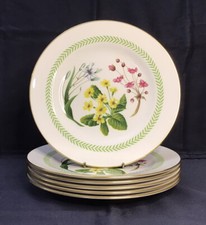 6 x Spode Country Lane Y8250-A