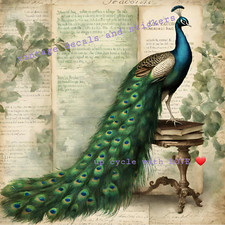 FURNITURE WALL TRANSFER RUB