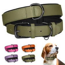 Leather dog collar heavy - collar,