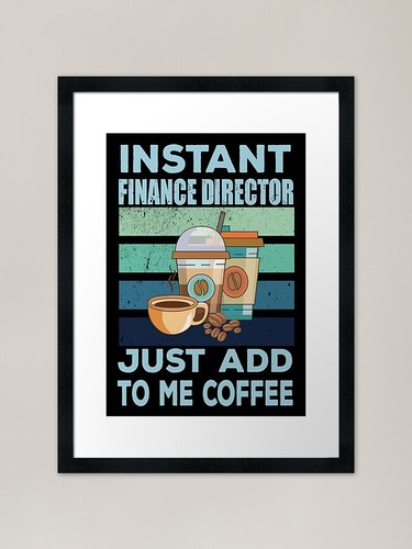 Instant finance director just