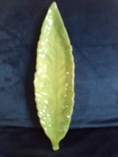 Carlton Ware leaf server plate 14 inches long Pale green England