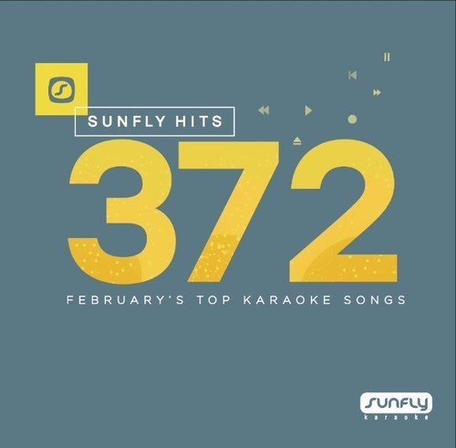 Sunfly karaoke hits - karaoke, sf372