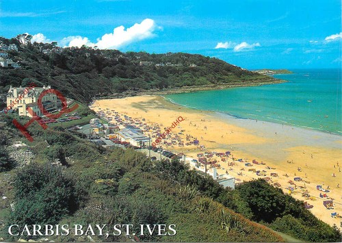 Picture postcard ives - picture, postcard::st