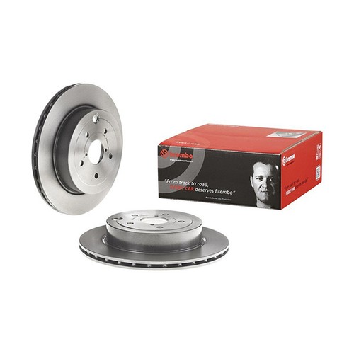 Brake disc rear coated - disc, x2