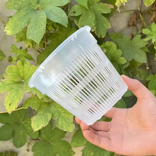 1pcs clear plastic - plastic, orchid
