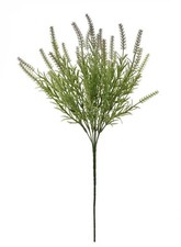 Thorn Spray
