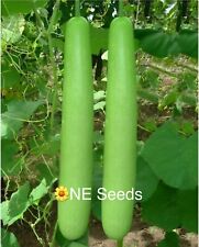 ? Bangladeshi Vegetable  Long Lau Khodu Pani Kodu Bottle Gourd Seeds 
