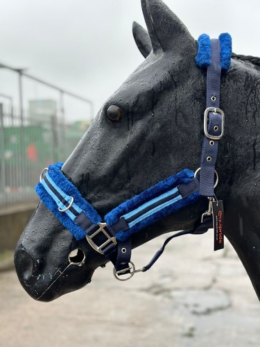 Equipride lunging cavesson - equipride,