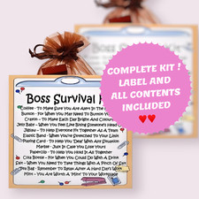 Boss Survival Kit ~ Fun