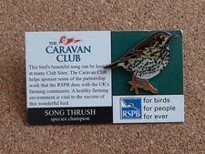 RSPB SONG THRUSH Caravan Club SPECIAL Charity Pin Badge