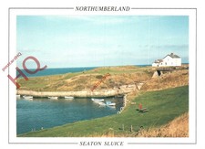 Picture Postcard~ Seaton Sluice, Northumberland