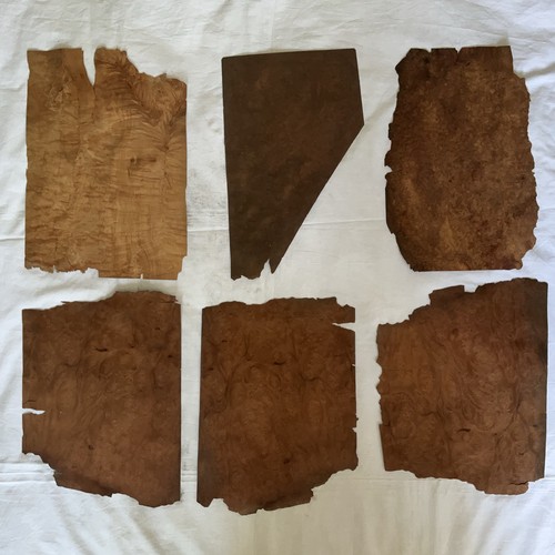 Job lot burr walnut - burr,