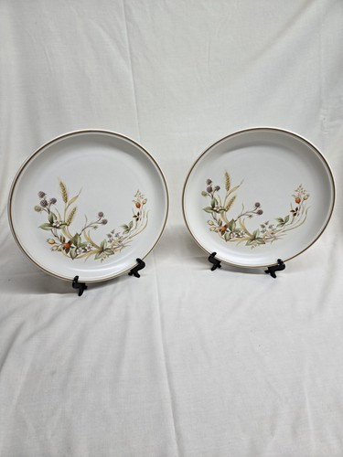 Harvest pattern dinner - , 2