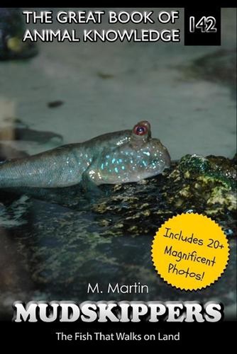 Mudskippers the fish - the,