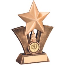 Multisport Award Top Gold Star