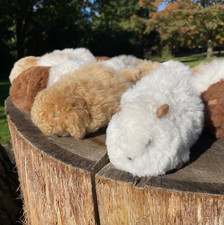 Alpaca Guinea Pig Soft Toy