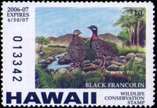 HAWAII #11 2006 STATE DUCK