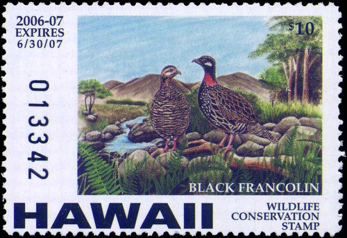 Hawaii 2006 state duck - state,