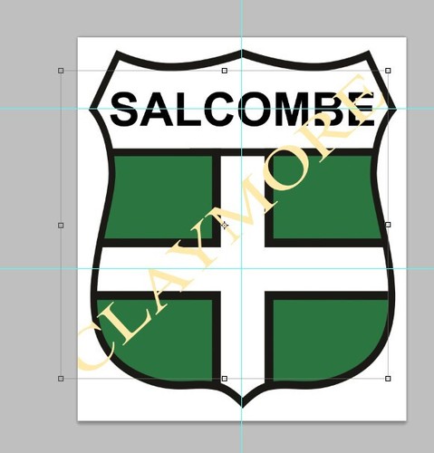 Salcombe devon car sticker - salcombe,