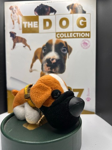 The dog collection boxer - dog, 37