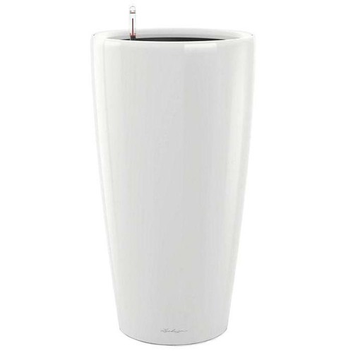 Tall large indoor and - tall, outdoor